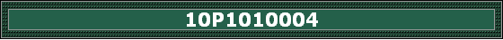 10P1010004