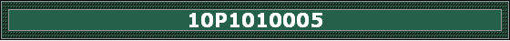 10P1010005