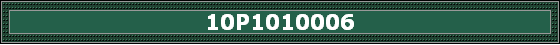 10P1010006