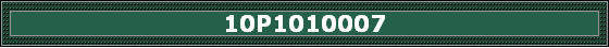 10P1010007
