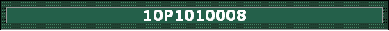 10P1010008
