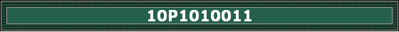 10P1010011