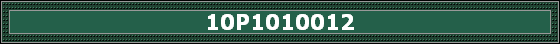10P1010012