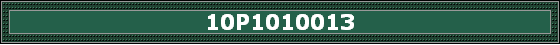 10P1010013
