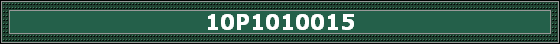 10P1010015