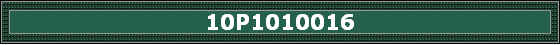 10P1010016