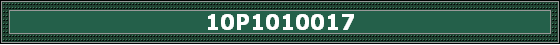 10P1010017