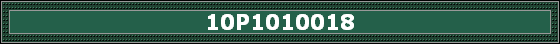 10P1010018