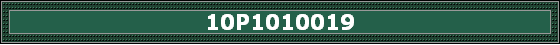 10P1010019