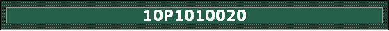 10P1010020