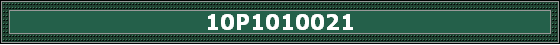 10P1010021