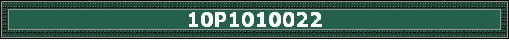10P1010022