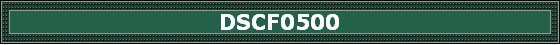 DSCF0500