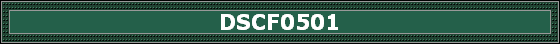 DSCF0501