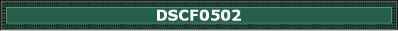 DSCF0502