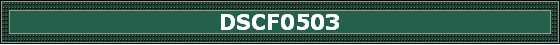 DSCF0503