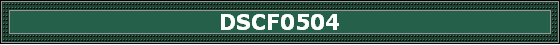 DSCF0504