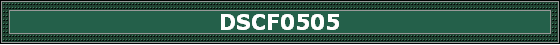 DSCF0505