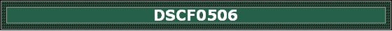 DSCF0506