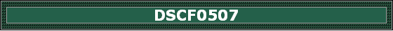 DSCF0507