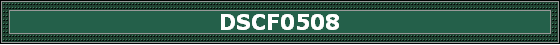 DSCF0508