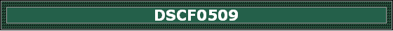 DSCF0509