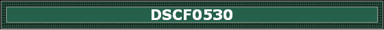 DSCF0530