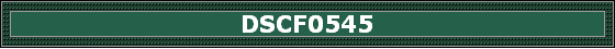 DSCF0545