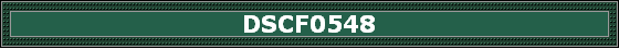 DSCF0548