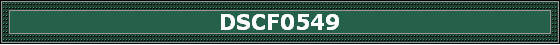 DSCF0549