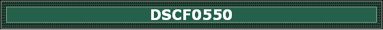 DSCF0550