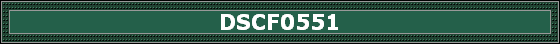 DSCF0551