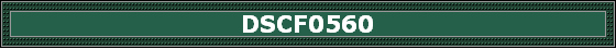 DSCF0560