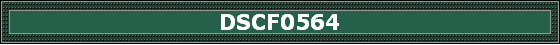 DSCF0564