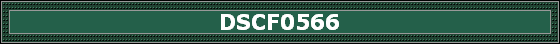DSCF0566