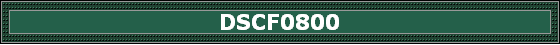 DSCF0800