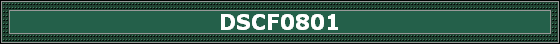 DSCF0801